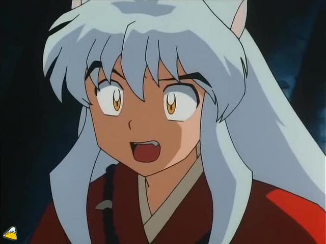 inu72_00896.jpg
