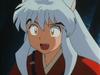 inu72_00896.jpg