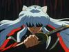 inu72_00902.jpg