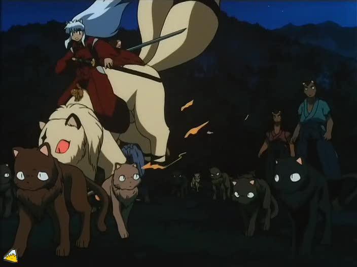 inu72_00573.jpg
