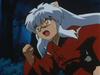 inu73- _76_.jpg