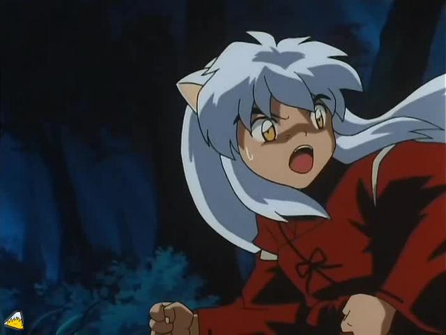 inu73- _78_.jpg