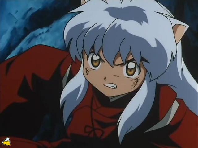 inu73- _80_.jpg
