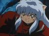 inu73- _80_.jpg
