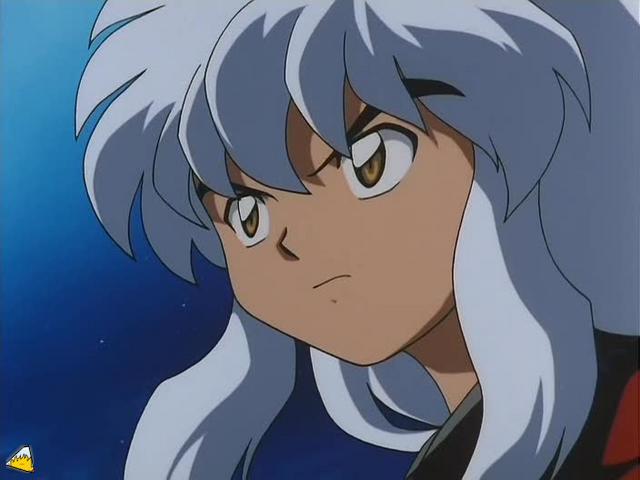 inu73- _110_.jpg