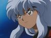 inu73- _110_.jpg