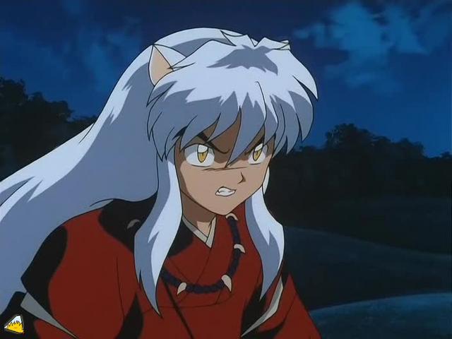 0004Inu.jpg