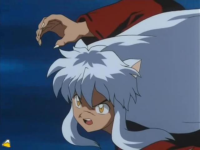 0029Inu.jpg