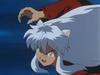 0029Inu.jpg