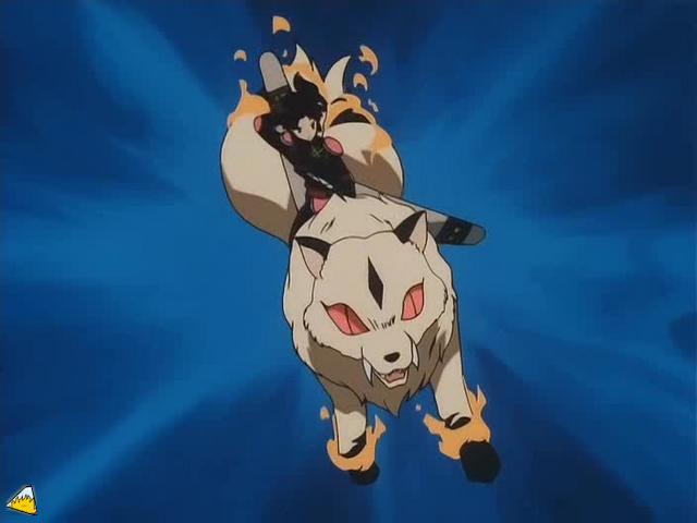 0049Inu.jpg