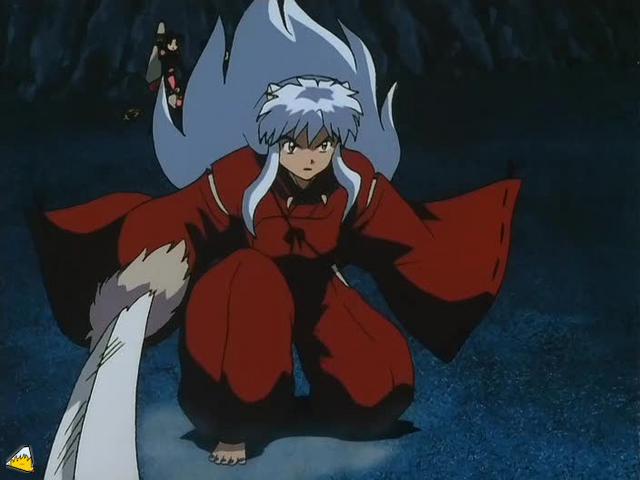 0089Inu.jpg