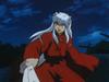 0095Inu.jpg