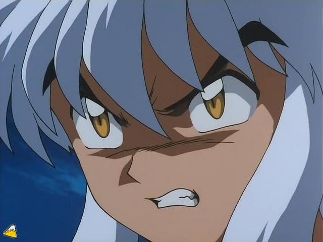 0113Inu.jpg