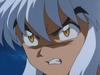 0113Inu.jpg
