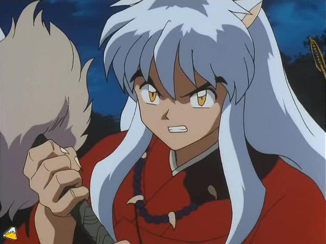 0115Inu.jpg