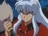 0115Inu.jpg