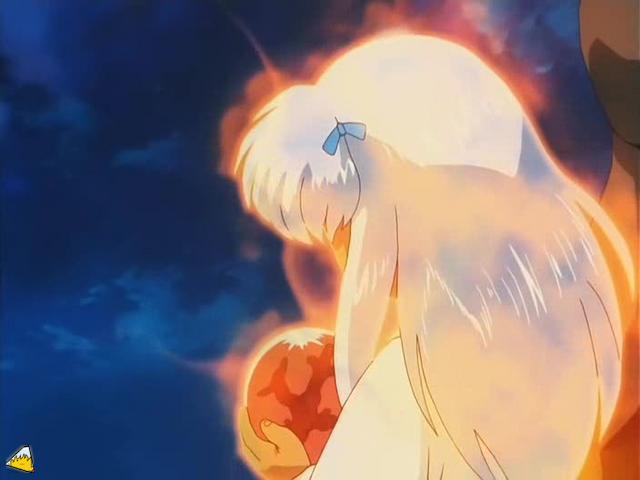0138Inu.jpg