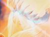0141Inu.jpg