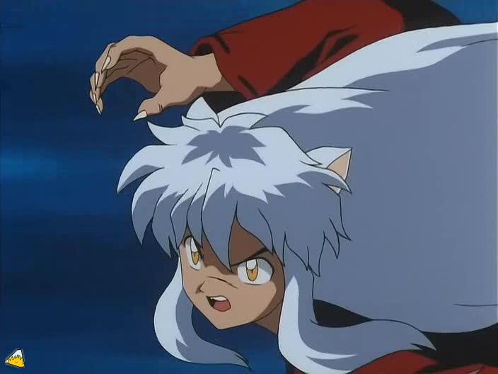 0029Inu.jpg