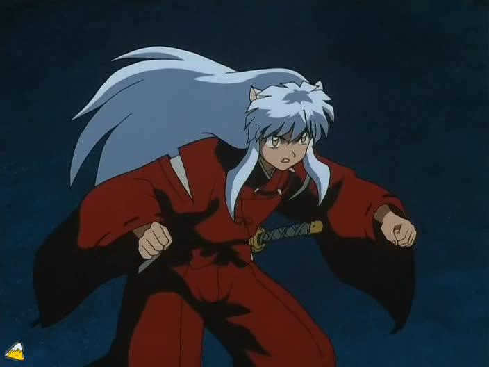0033Inu.jpg