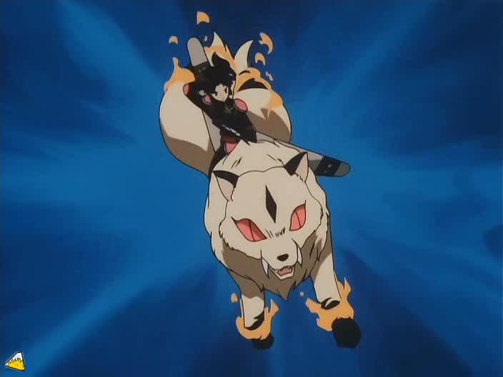 0049Inu.jpg