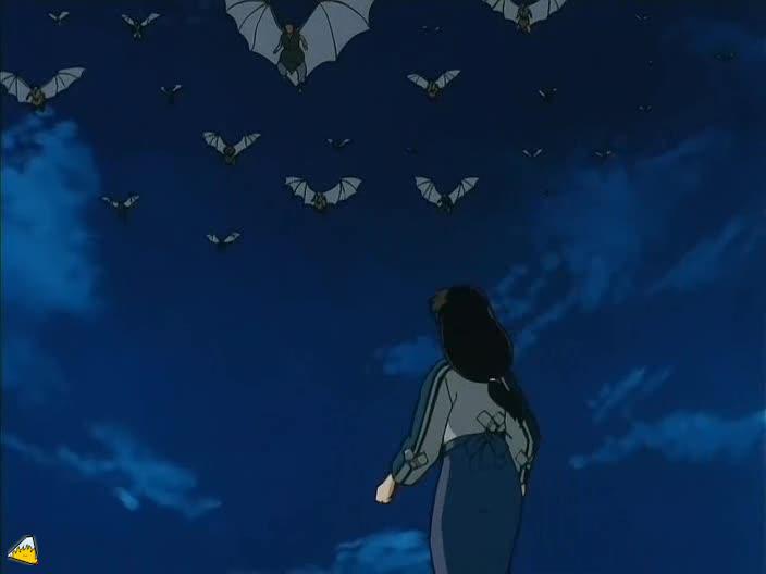 0101Inu.jpg