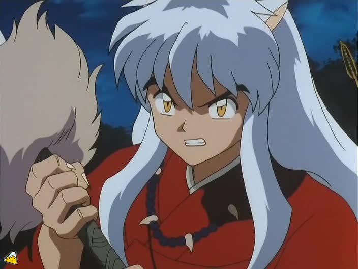 0115Inu.jpg