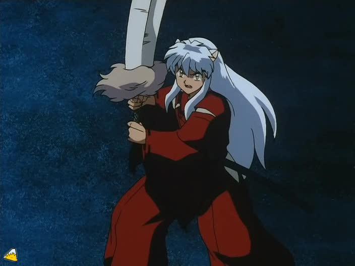 0119Inu.jpg