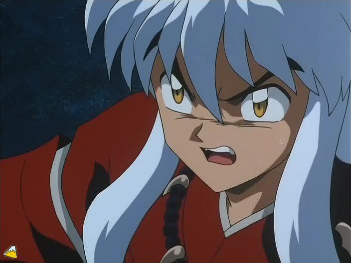 0134Inu.jpg