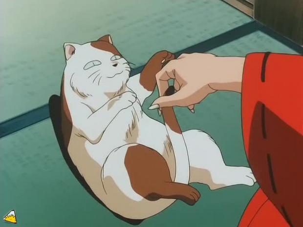 inu75_020.jpg