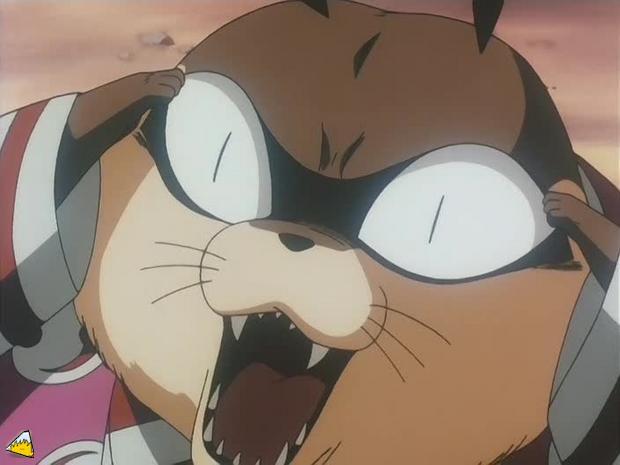 inu75_027.jpg