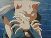 inu75_036.jpg