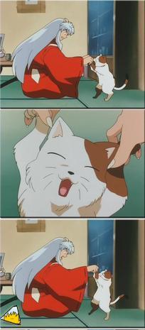 inu75_046.jpg