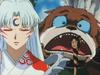 inu75_092.jpg