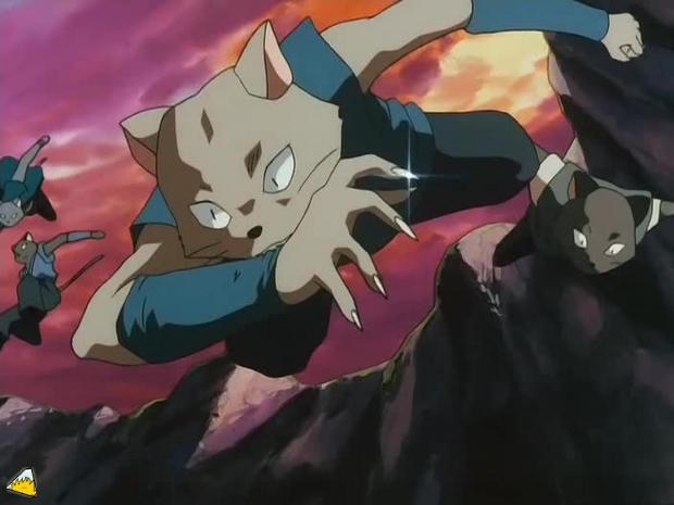 inu75_104.jpg