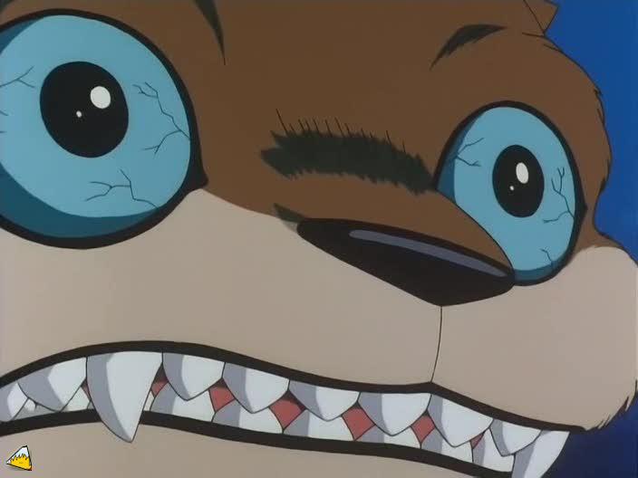 inu75_013.jpg