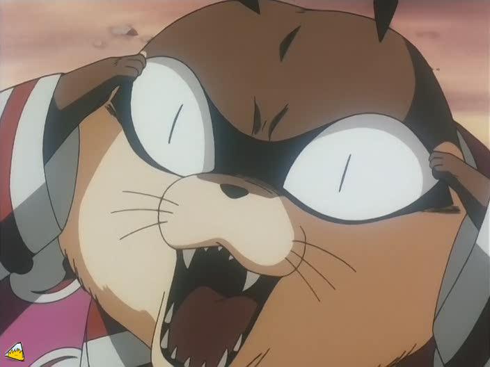 inu75_027.jpg