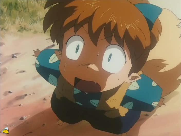 inu75_031.jpg