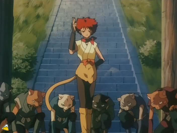 inu75_034.jpg