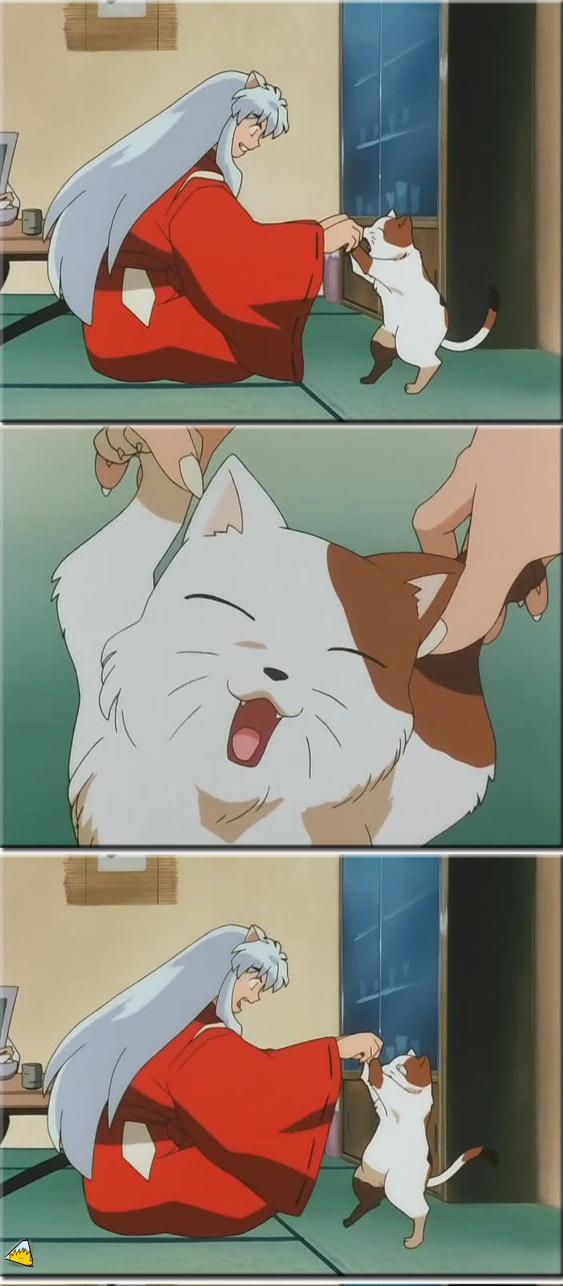 inu75_046.jpg
