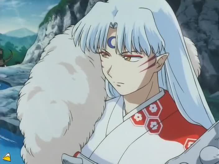 inu75_068.jpg