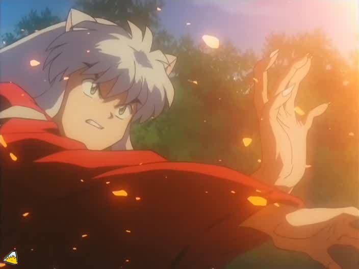 inu75_077.jpg