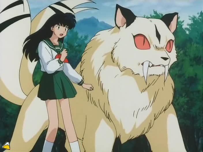 inu75_078.jpg