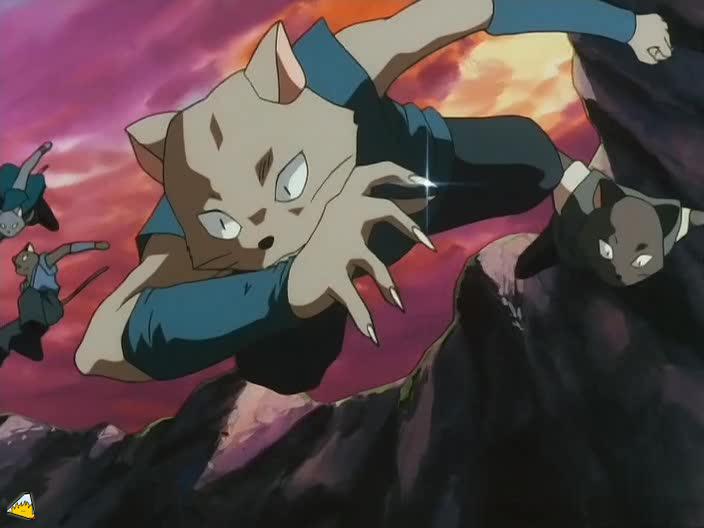 inu75_104.jpg