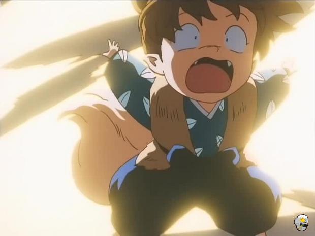 inu76_017.jpg