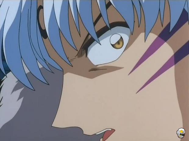 inu76_028.jpg