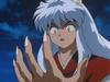 inu76_033.jpg