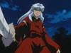 inu76_086.jpg