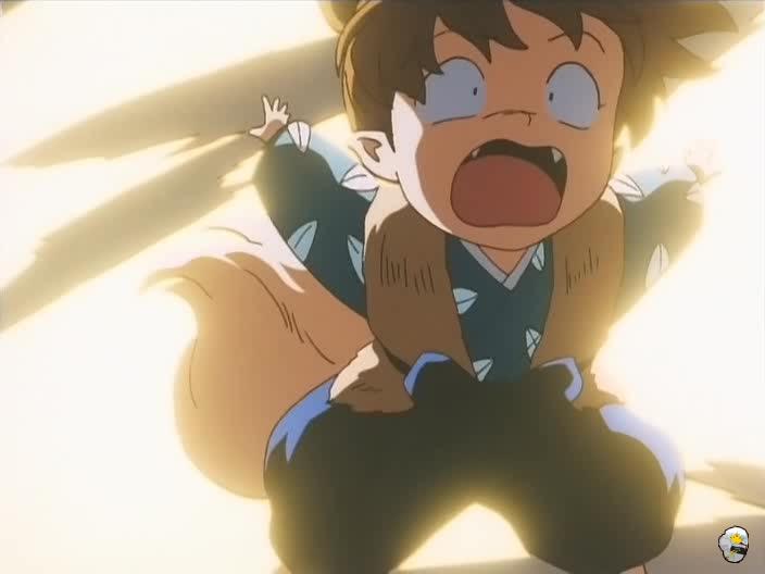 inu76_017.jpg