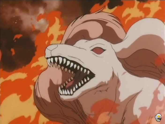 inu76_035.jpg